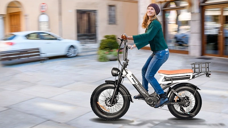 Cargo Ebike